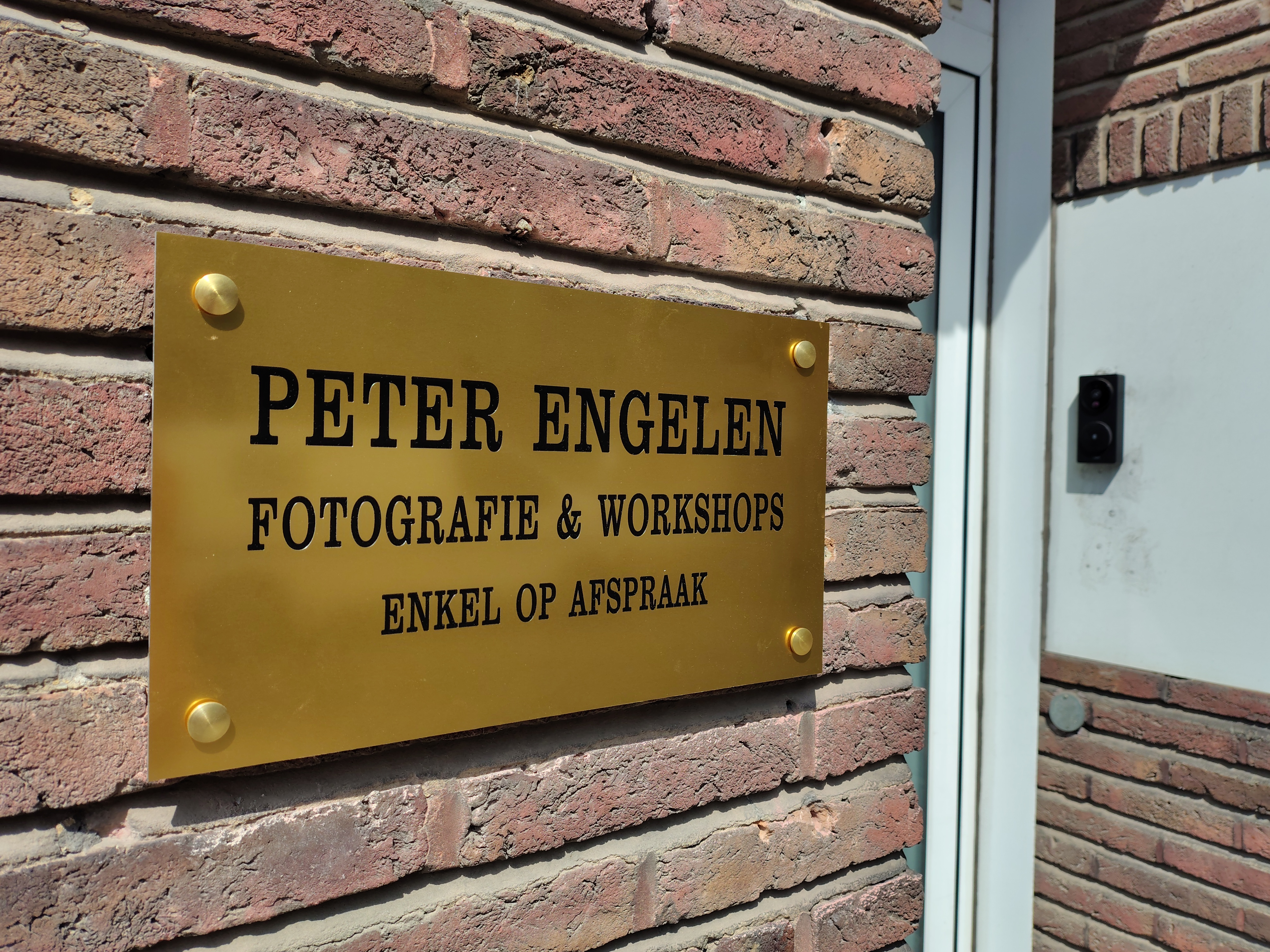 Studioshoot! professioneel portret hond Peter Engelen Hondenfotografie Turnhout